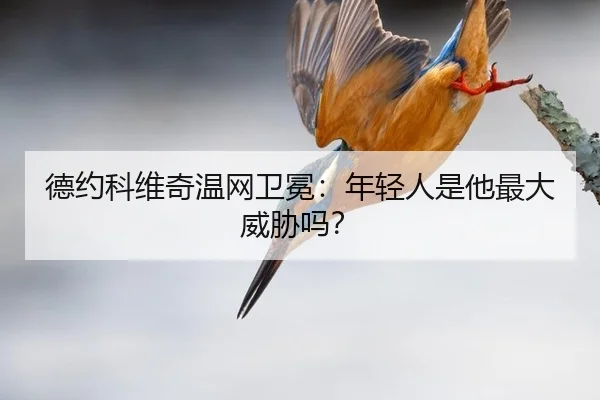 de-yue-ke-wei-qi-wen-wang-wei-mian-nian-qing-ren-shi-ta-zui-da-wei-xie-ma-3-220.jpg
