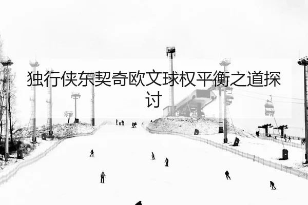 独行侠东契奇欧文球权平衡之道探讨