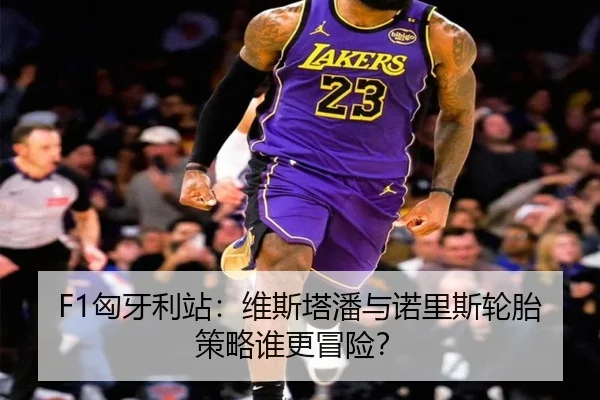 F1匈牙利站：维斯塔潘与诺里斯轮胎策略谁更冒险？
